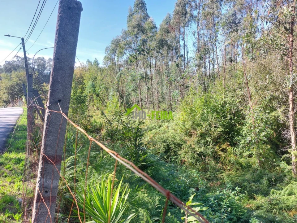 Terreno para Venda em Arrifana Foto 3