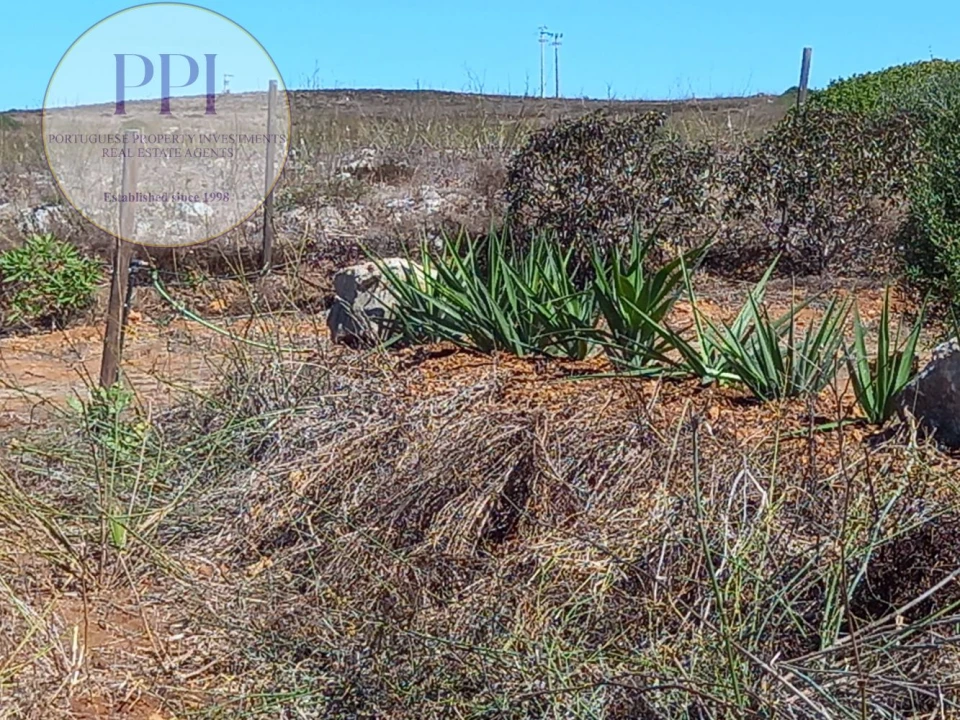 Terreno para Venda em Vila do Bispo e Raposeira Foto 27
