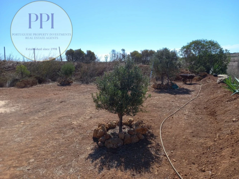 Terreno para Venda em Vila do Bispo e Raposeira Foto 28