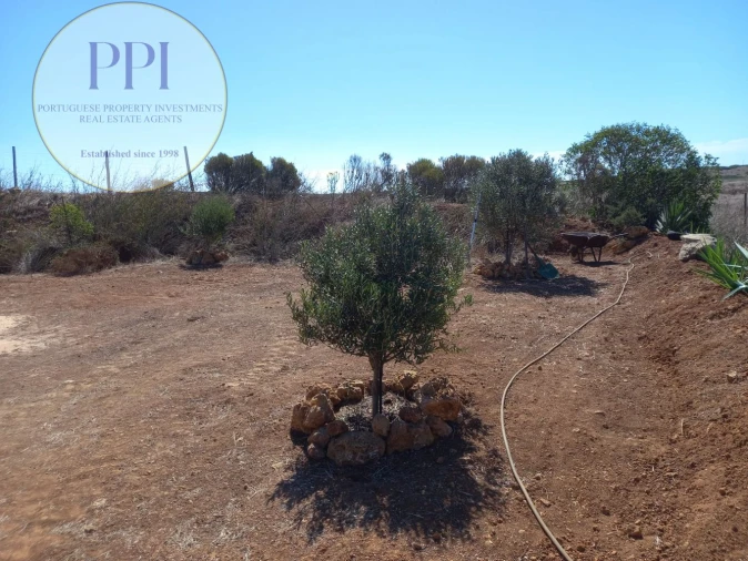 Terreno para Venda em Vila do Bispo e Raposeira Foto 28