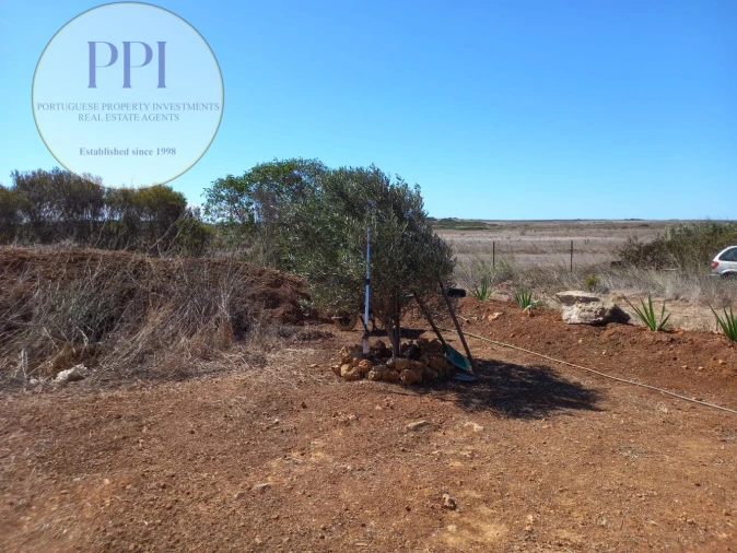 Terreno para Venda em Vila do Bispo e Raposeira Foto 10