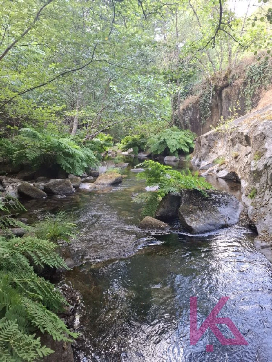 Quinta T0 para Venda em Aboadela, Sanche e Várzea Foto 9