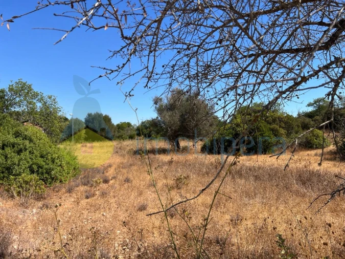Terreno Agricola ou Rústico para Venda em Ferreiras