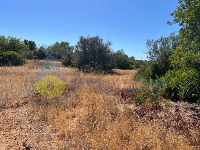 Terreno Agricola ou Rústico para Venda em Ferreiras Foto 4