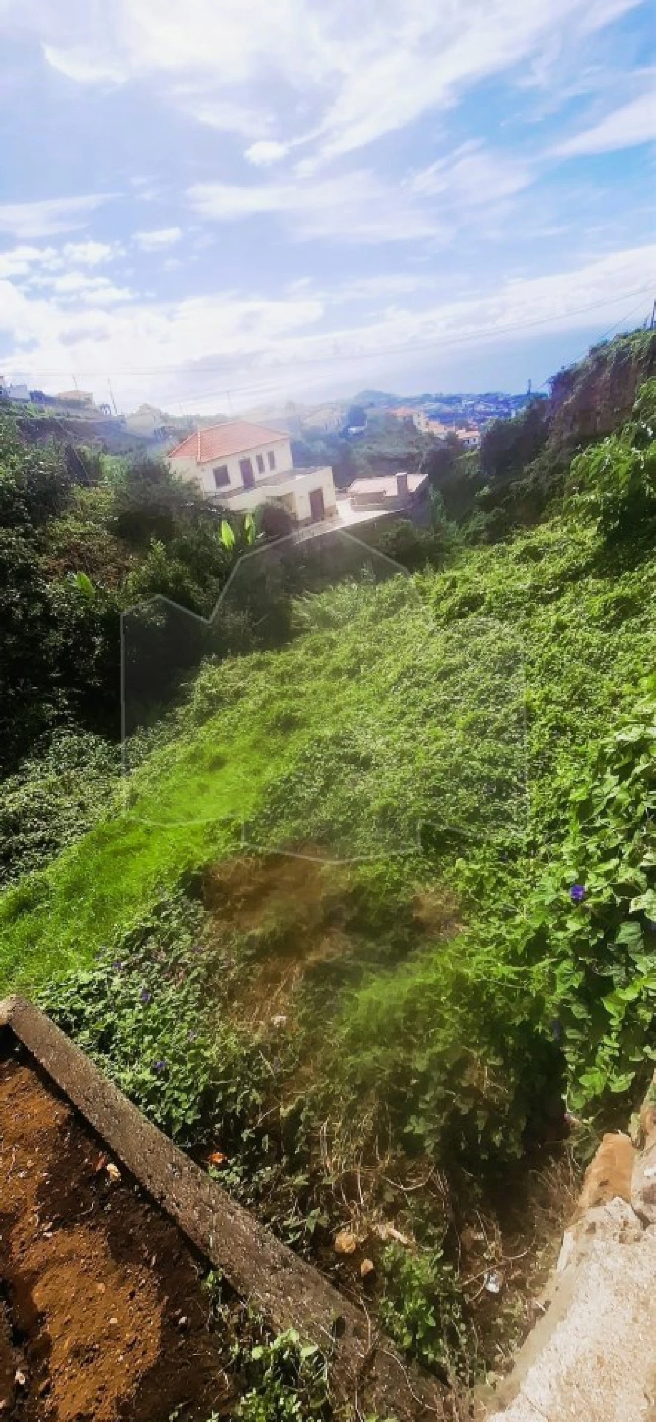 Terreno para Venda em Estreito de Camara de Lobos Foto 3