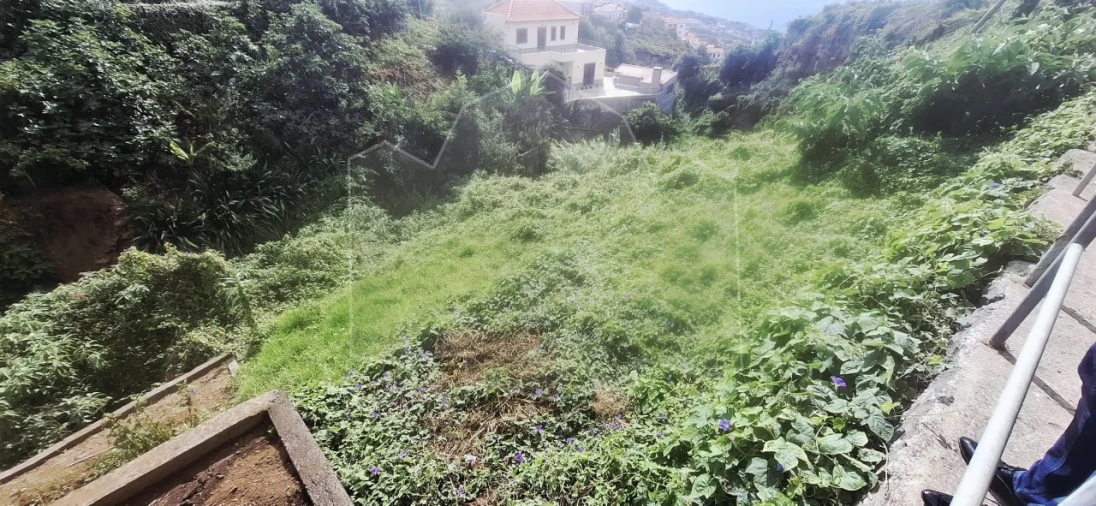 Terreno para Venda em Estreito de Camara de Lobos Foto 4