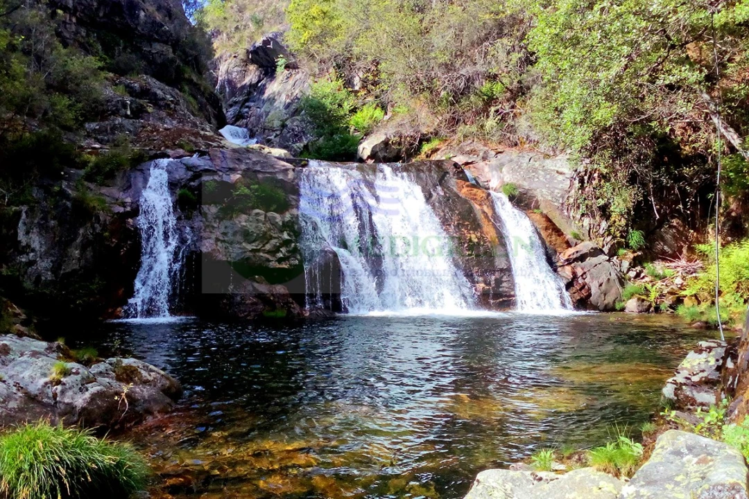 Moradia T3 para Venda em Couto de Esteves Foto 38