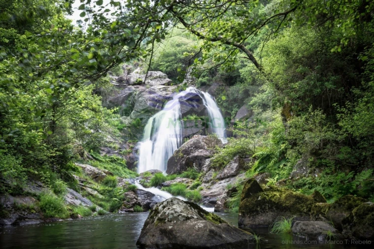 Moradia T3 para Venda em Couto de Esteves Foto 40