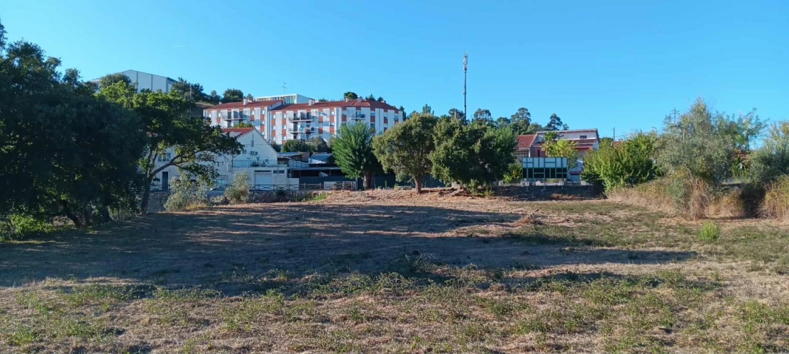 Terreno Agricola ou Rústico para Arrendamento em Mação, Penhascoso e Aboboreira Foto 7