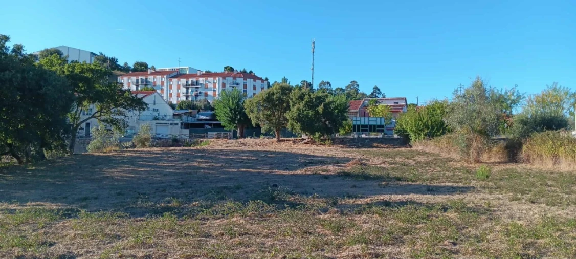 Terreno Agricola ou Rústico para Arrendamento em Mação, Penhascoso e Aboboreira Foto 5