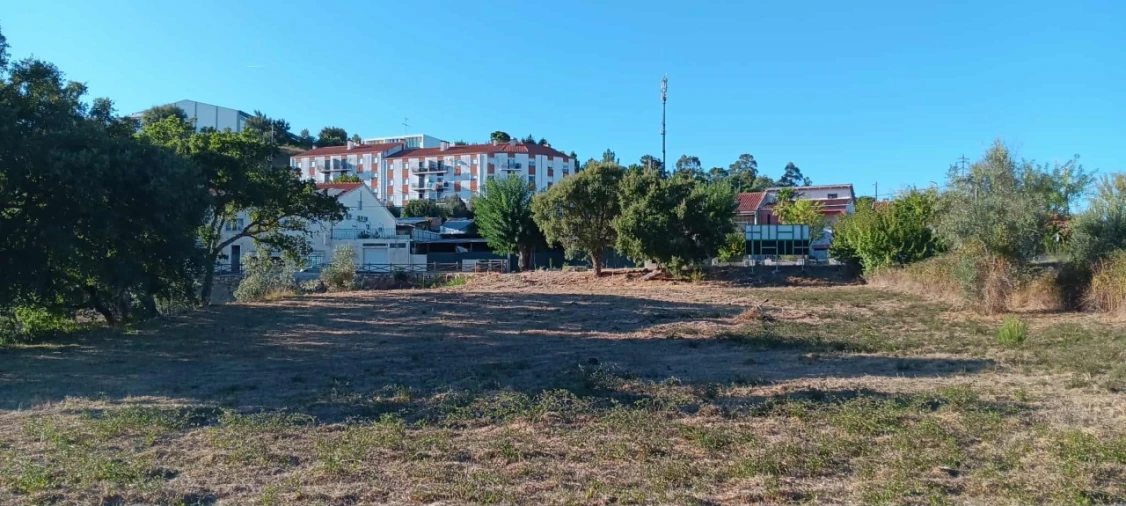 Terreno Agricola ou Rústico para Arrendamento em Mação, Penhascoso e Aboboreira Foto 7