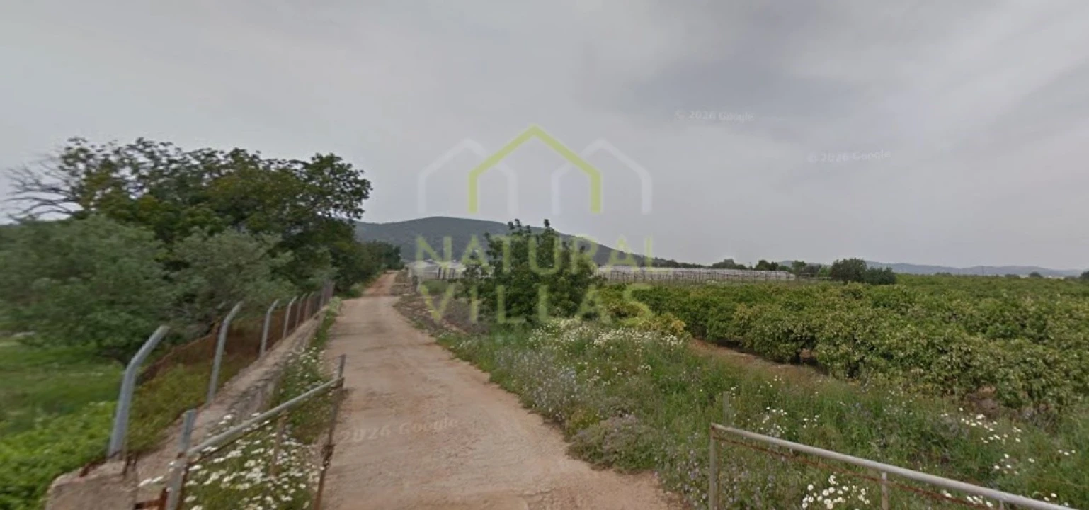 Terreno Agricola ou Rústico para Venda em Conceição e Estoi Foto 3