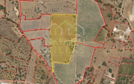 Terreno Agricola ou Rústico para Venda em Conceição e Estoi