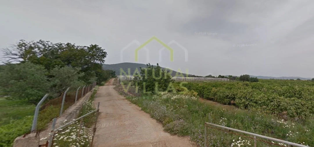 Terreno Agricola ou Rústico para Venda em Conceição e Estoi Foto 3