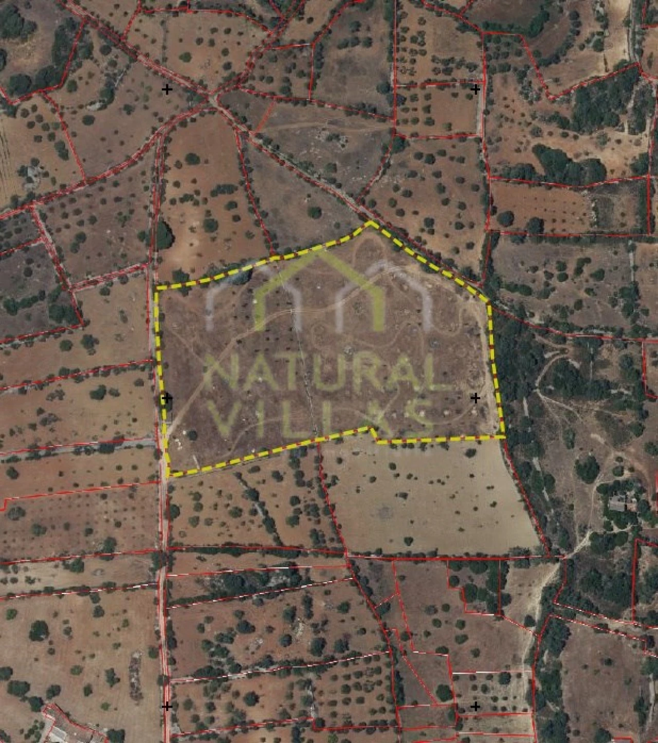 Terreno Agricola ou Rústico para Venda em Conceição e Estoi Foto 1