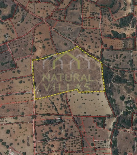 Terreno Agricola ou Rústico para Venda em Conceição e Estoi