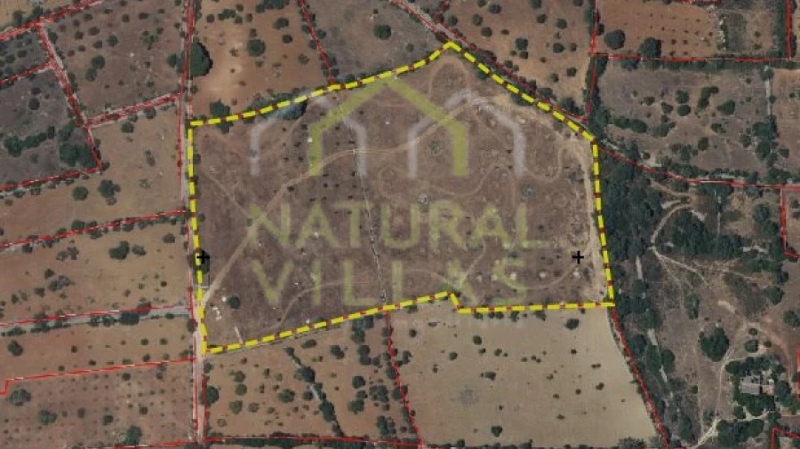 Terreno Agricola ou Rústico para Venda em Conceição e Estoi