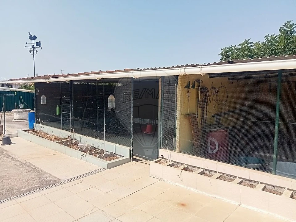 Moradia T3 para Venda em Vila Chã de Ourique Foto 10