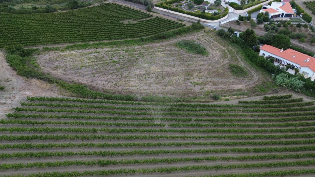 Terreno para Venda em Santo Quintino Foto 4