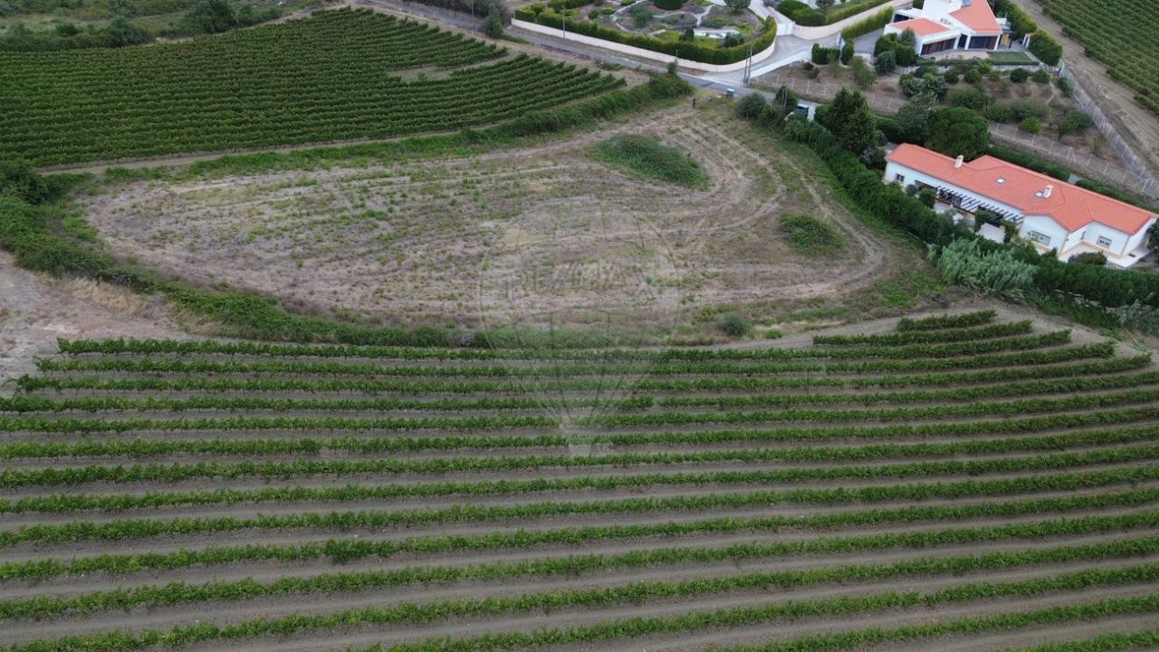 Terreno para Venda em Santo Quintino Foto 3