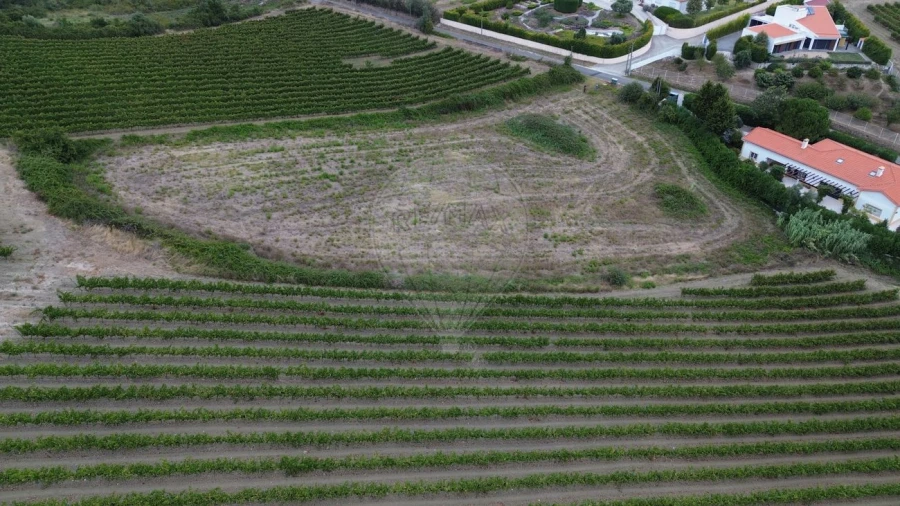 Terreno para Venda em Santo Quintino Foto 4