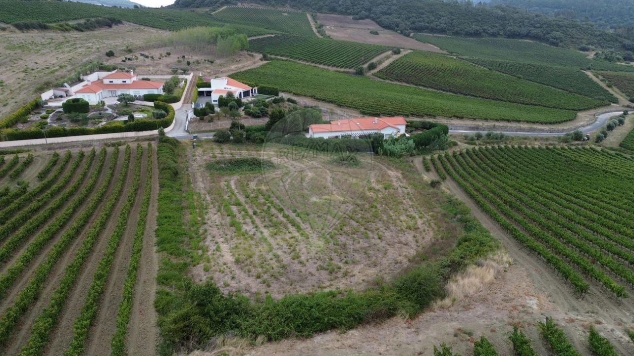 Terreno para Venda em Santo Quintino Foto 2