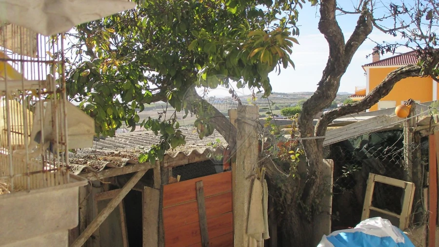 Moradia T2 para Venda em São Pedro da Cadeira Foto 12