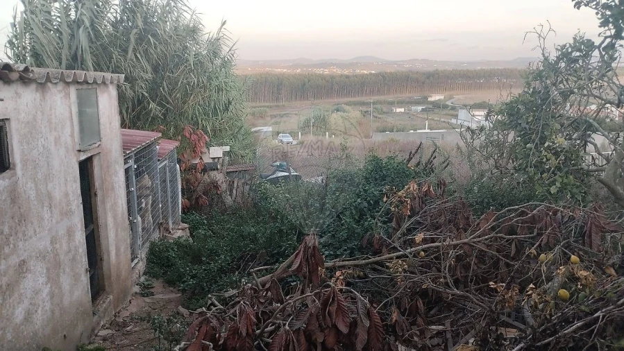 Moradia T2 para Venda em São Pedro da Cadeira Foto 15