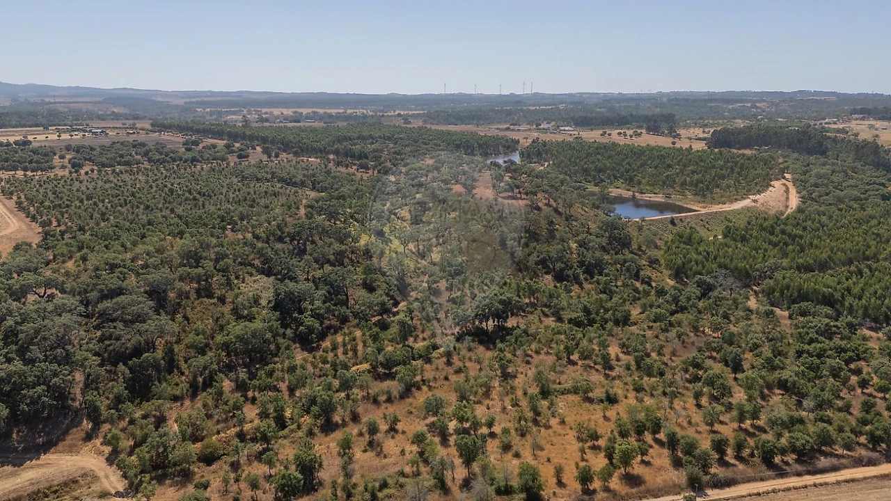 Terreno para Venda em São Domingos e Vale de Água Foto 8