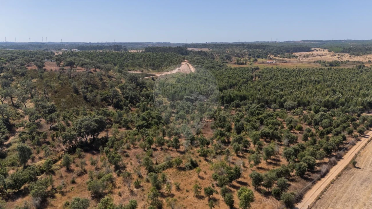 Terreno para Venda em São Domingos e Vale de Água Foto 17