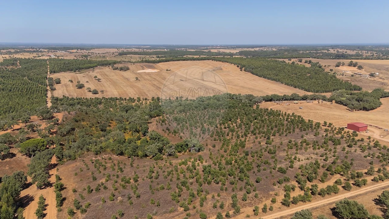 Terreno para Venda em São Domingos e Vale de Água Foto 9