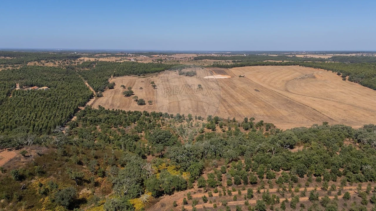 Terreno para Venda em São Domingos e Vale de Água Foto 10
