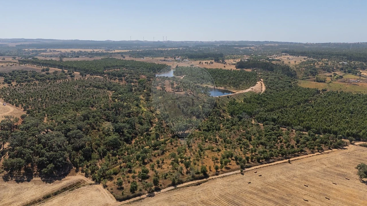 Terreno para Venda em São Domingos e Vale de Água Foto 14