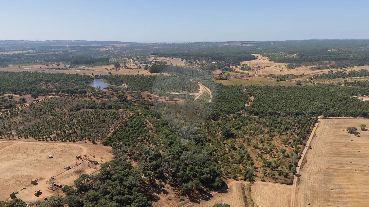 Terreno para Venda em São Domingos e Vale de Água Foto 16