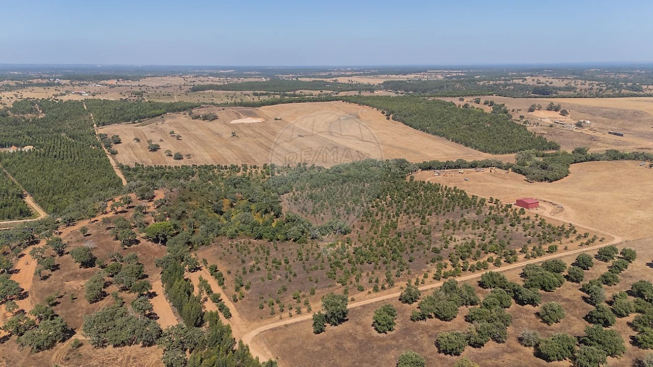 Terreno para Venda em São Domingos e Vale de Água Foto 7