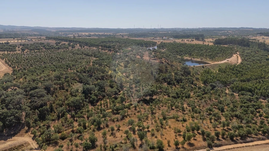 Terreno para Venda em São Domingos e Vale de Água Foto 8