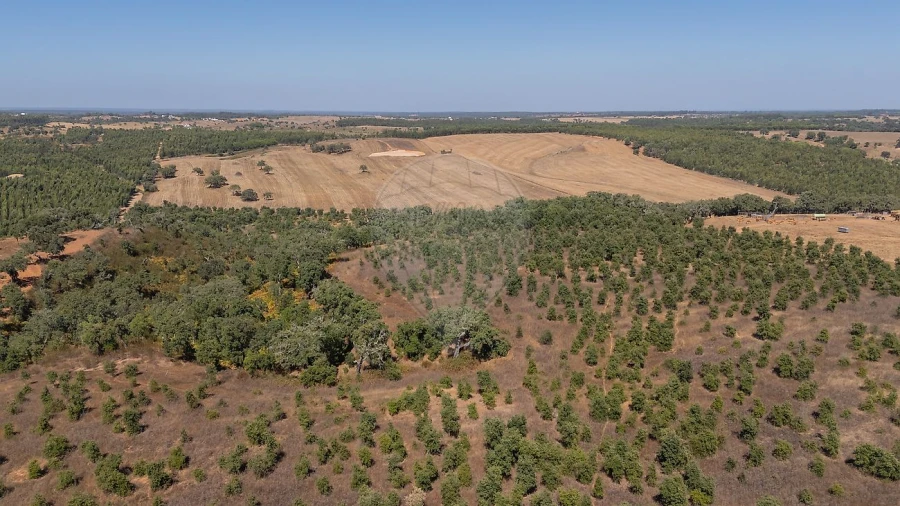 Terreno para Venda em São Domingos e Vale de Água Foto 11