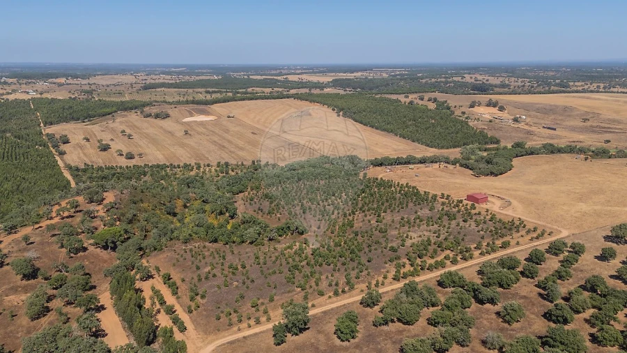 Terreno para Venda em São Domingos e Vale de Água Foto 4