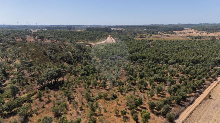Terreno para Venda em São Domingos e Vale de Água Foto 17