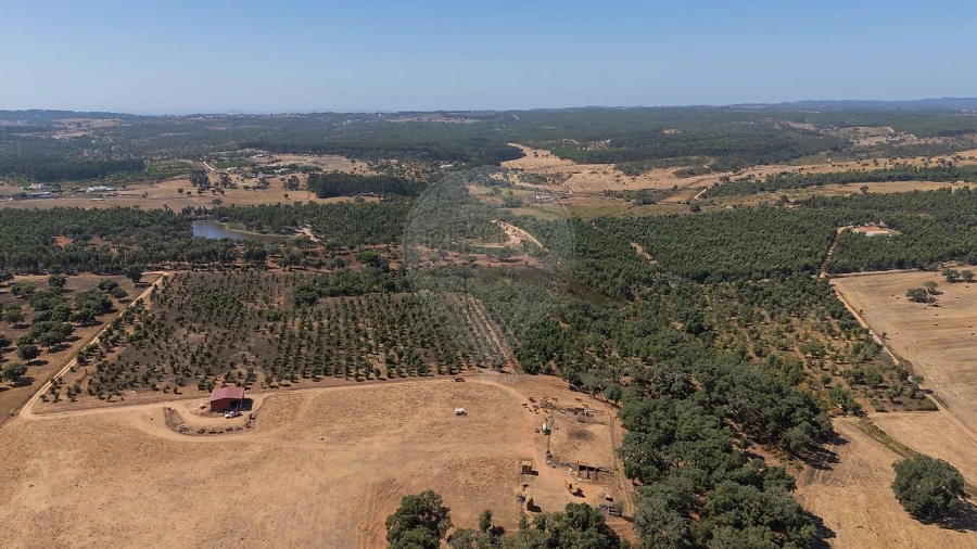 Terreno para Venda em São Domingos e Vale de Água Foto 1