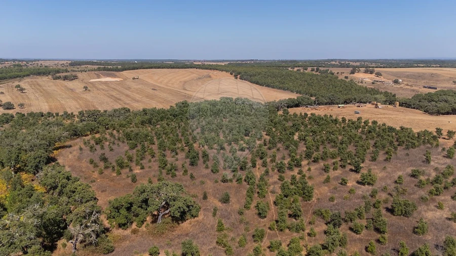 Terreno para Venda em São Domingos e Vale de Água Foto 2