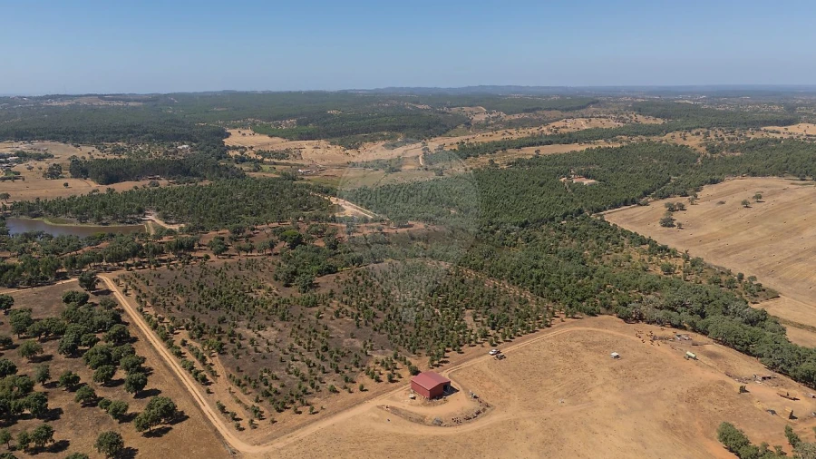 Terreno para Venda em São Domingos e Vale de Água Foto 15