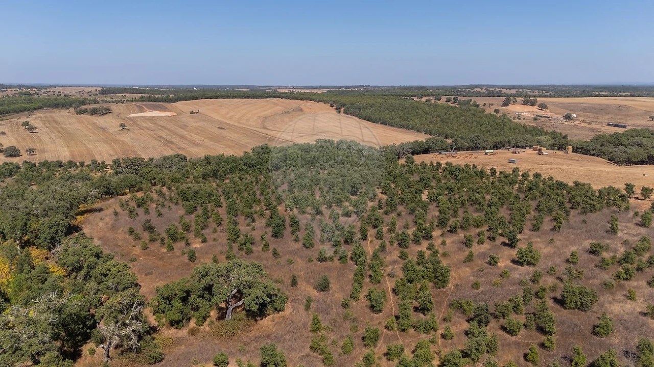 Terreno para Venda em São Domingos e Vale de Água Foto 2