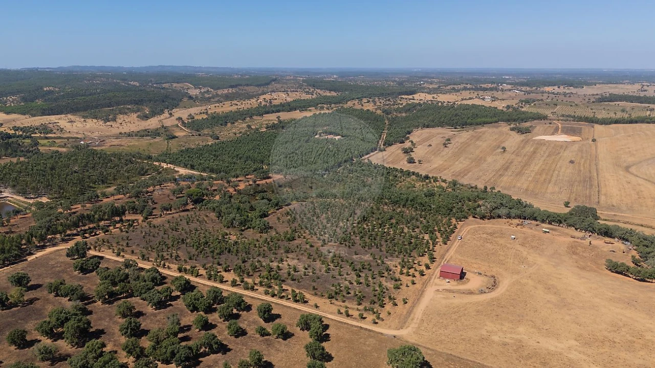 Terreno para Venda em São Domingos e Vale de Água Foto 5