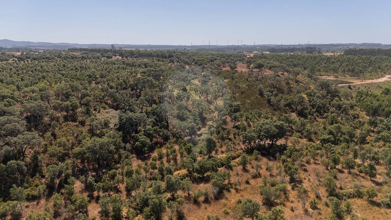 Terreno para Venda em São Domingos e Vale de Água Foto 3