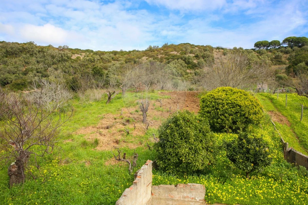 Moradia T4 para Venda em Carregado e Cadafais Foto 27