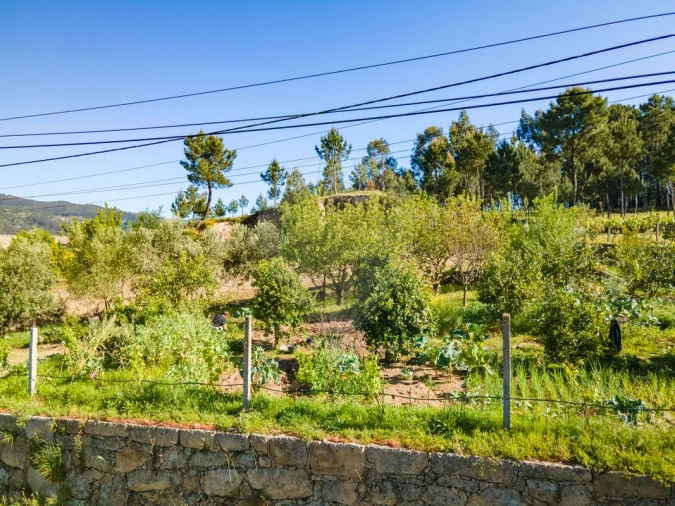 Terreno para Venda em São Cristovão de Nogueira Foto 3