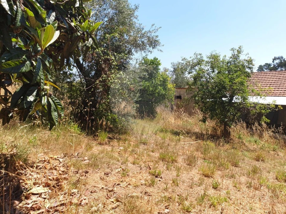 Moradia T3 para Venda em Aguas Belas Foto 26