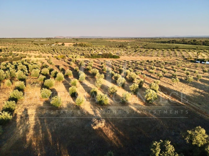 Terreno Misto para Venda em Casa Branca Foto 6