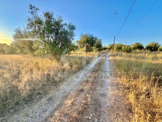 Terreno Misto para Venda em Casa Branca Foto 8
